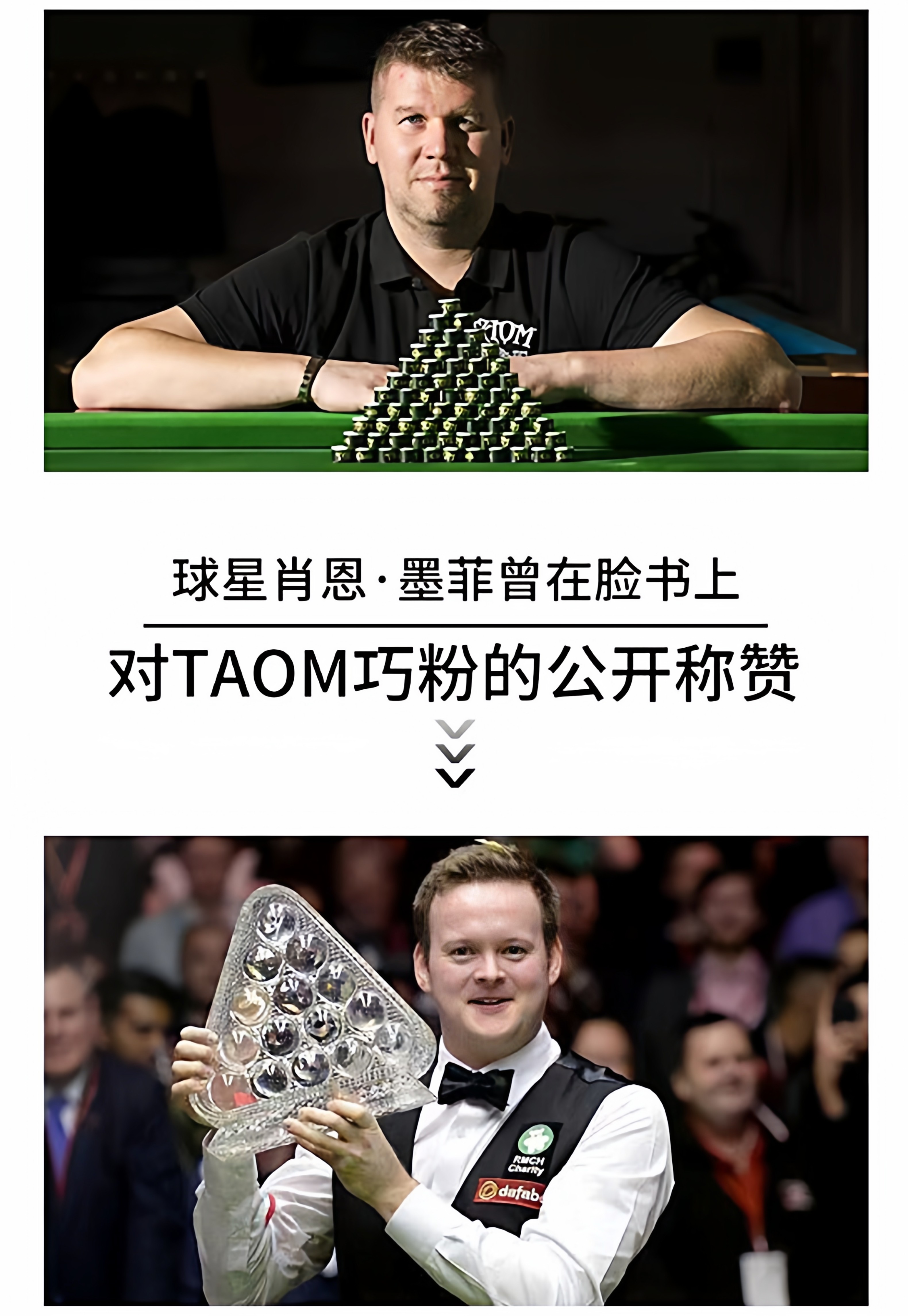 Мел для кия 【芬兰】taom巧粉塔悟姆v10巧克粉圆形台球杆职业斯诺克中八枪粉