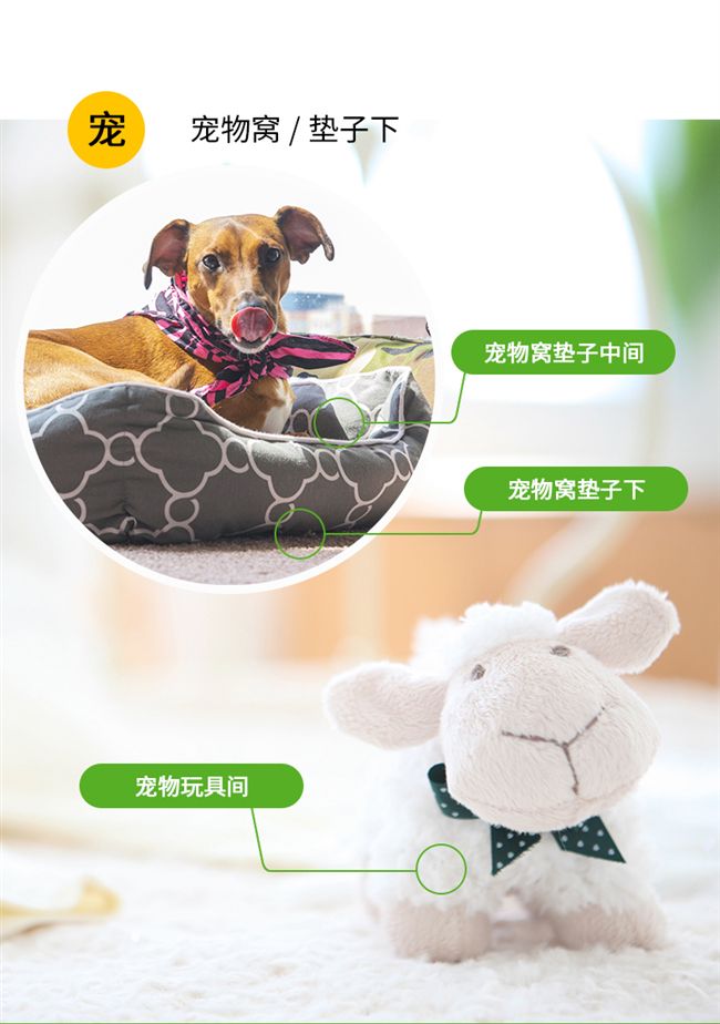 Túi thảm tự nhiên để cào cào cung cấp thuốc chống giun sao dán chống côn trùng hộ gia đình ngoài gián bình xịt mối
