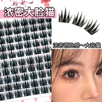 Мордаший кот (клеевой тип)