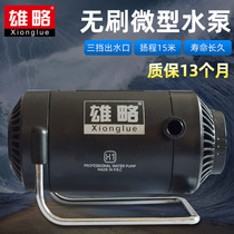  Xionglue brushless miniature DC 12v small water pump adjustable ultra-quiet fish tank water change bath circulation slotting machine