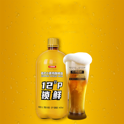 轩博精酿啤酒德式小麦精酿啤酒12°P锁鲜装1.5L*1桶（淘5）