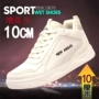 Giày nam tăng trong mùa hè Giày thể thao 10CM Giày nam cao 8cm Giày thông thường của Hàn Quốc để giúp tăng giày - Giay cao giày the thao nam 