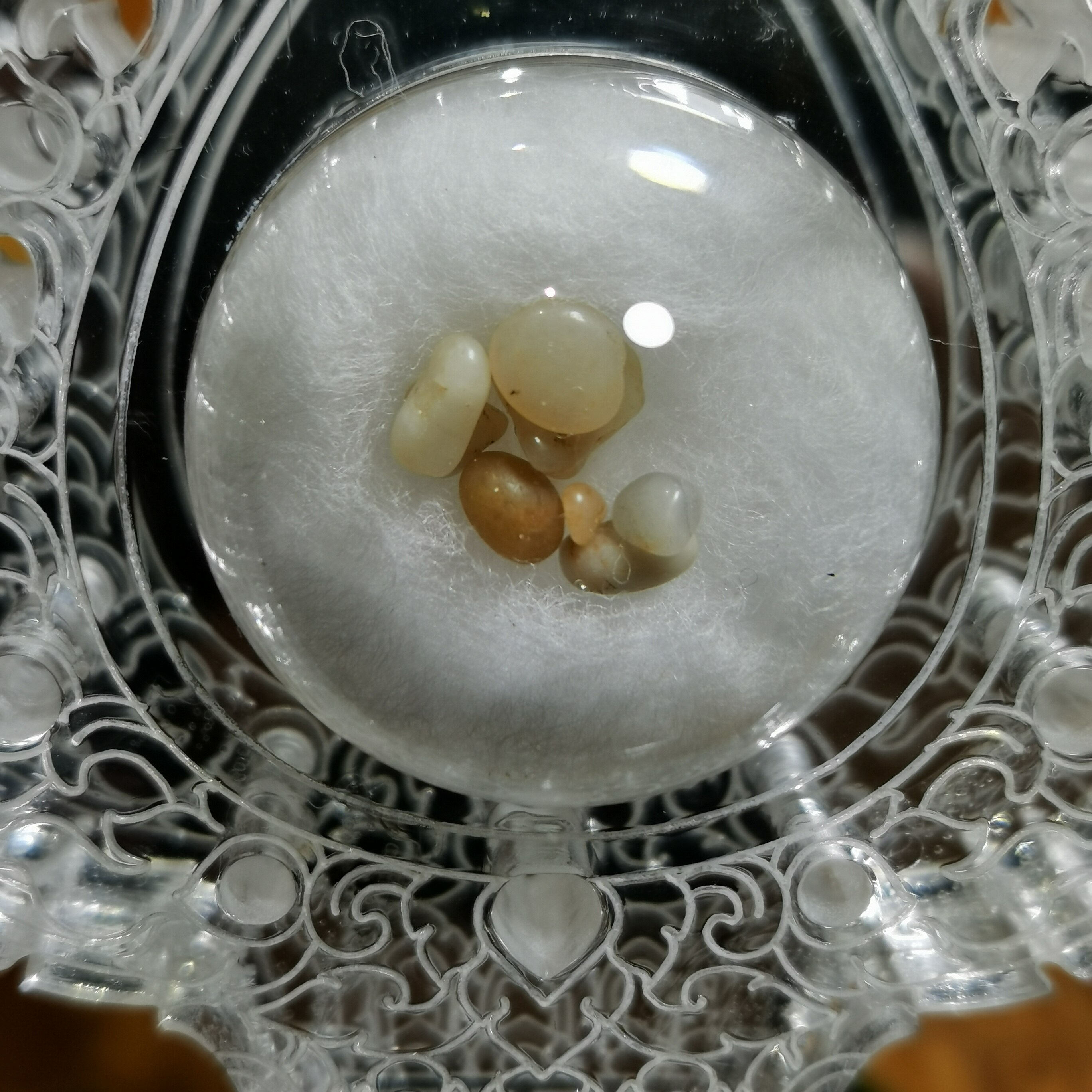 Sakyamuni Buddha crushed body GU solid submount hidden for shalitagau (5 Yuan 1 one) {Size 2-3