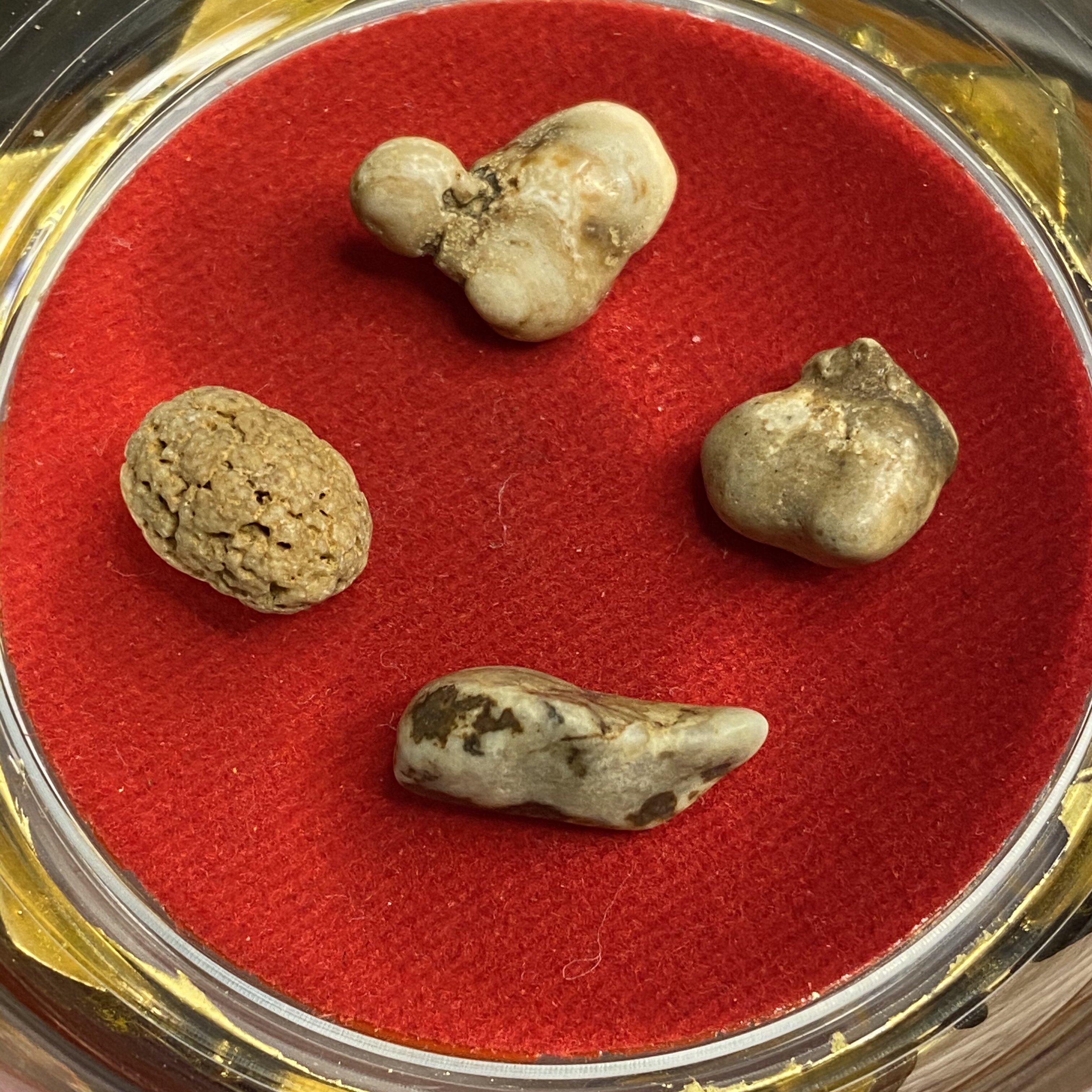 Xuanhua Shangren Sturdy Son Single Stupa Gau Box Size 7-18mm