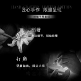 Виртуальность ошибки Croxx, юк -сансингпуро