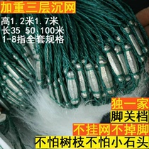 Red Sun fishing gear fishing net aggravated running water fishing net sticky net three layers of sunken net catching small crucian carp black fish silk hanging net white strip