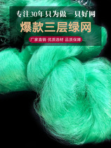 Chaohu Shengtian fishing net factory fishing net green wire mesh sticky net thick 100 meters sink net crucian carp net fishing net