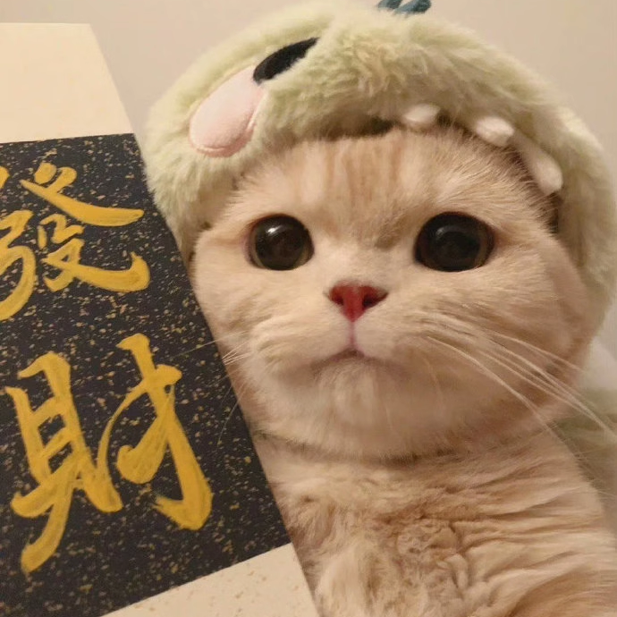 馨雅琪家居服