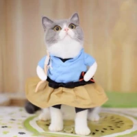 Костюм-трансформер Тайдзюна Урасимы