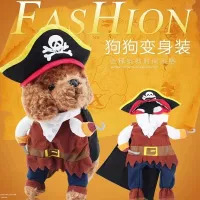 Пиратская трансформация