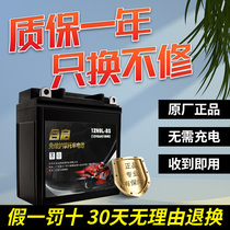 Motorcycle battery 12V universal suitable for Hauji Suzuki Drill Leopard Mens Clothing 125 prinsub - lithium dry battery