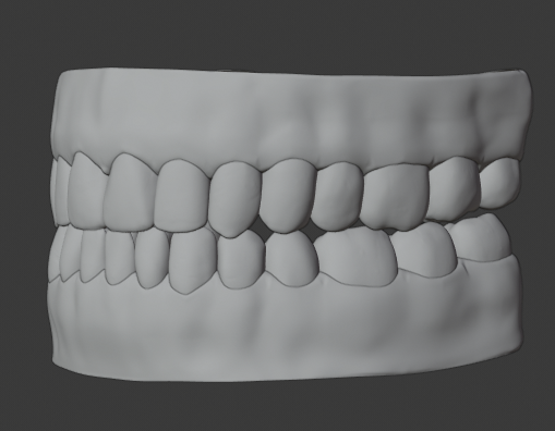 Human teeth 人类牙齿资产