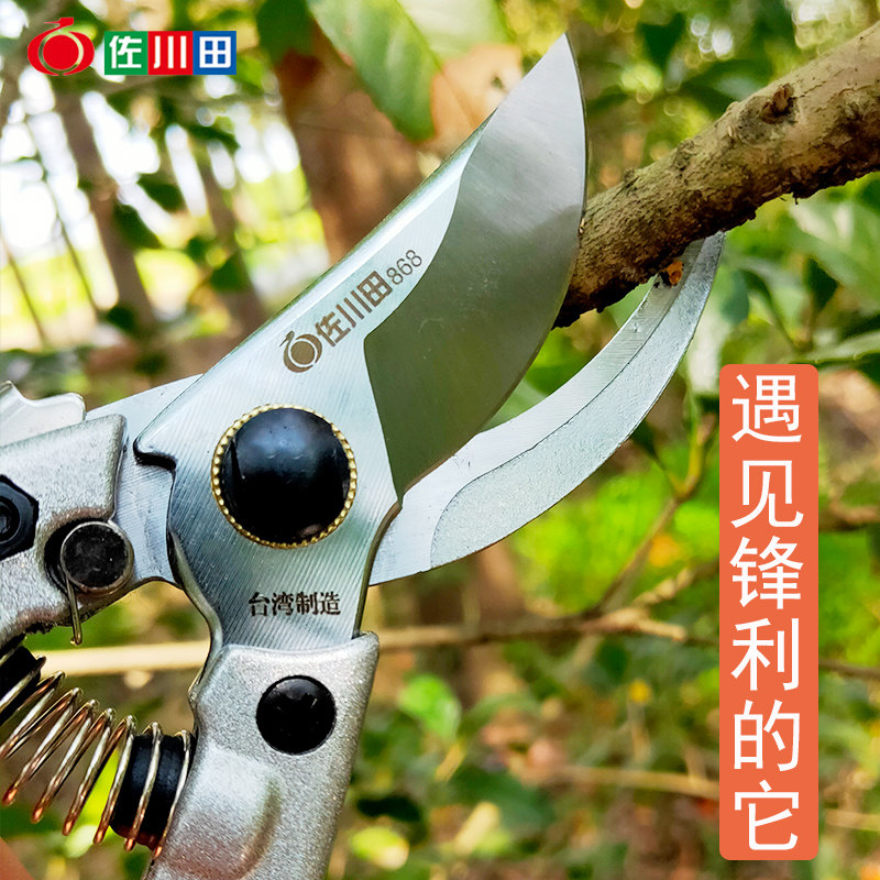 Taiwan Zookawa Fields 868 Prunes Prunes Scissors Fruit Branches Cut Branches Fruits Trees Trim Garden Art Tools Flowers Branches Scissors