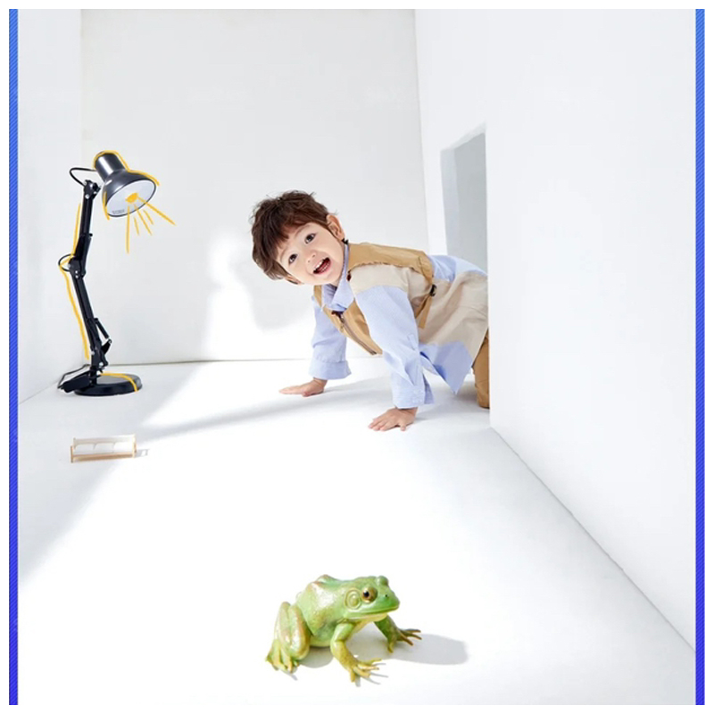 Children Photography Props Photo Gallery Supplies Baby Photo Outscene Props Simulation Frog Shop Window Hem