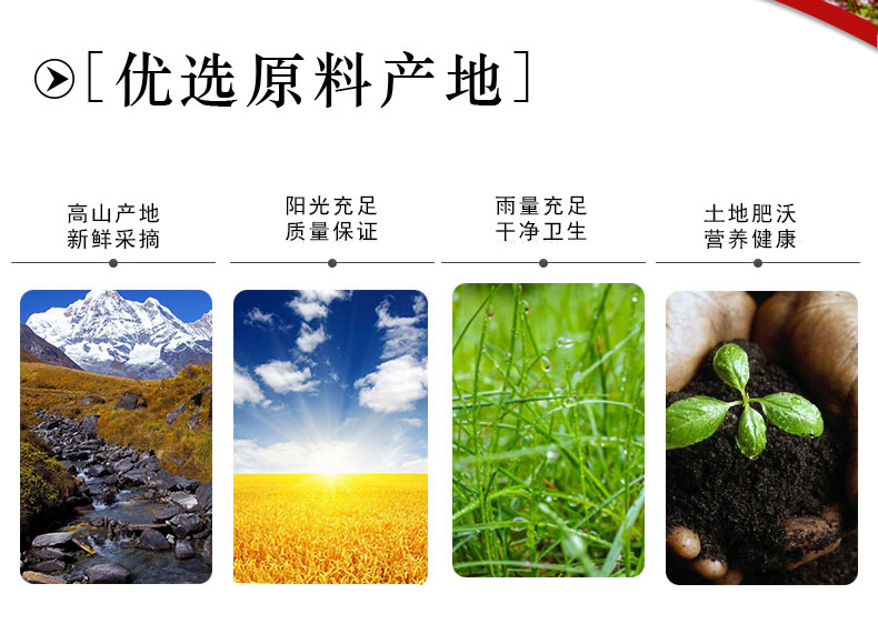 【红荞地】苦荞茶黑珍珠苦荞茶