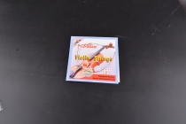 Professional performance test for beginners universal violin strings