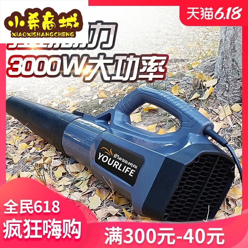 Blower Electric blowing dust blower blowing the road falling leaf machine blowing dust machine 3000W High power industrial power