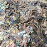 Фрагментация раковины с раковиной Глубобы натуральные материалы с творческой краской ручной работы ручной работы