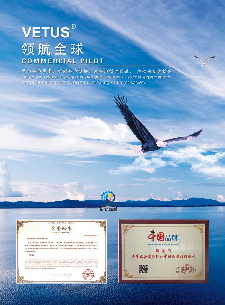 VETUS维特斯镊子美睫 美甲 00/1/2A/3C/4/5A/5B/6A/SS/7-SA/OO/AA详情13