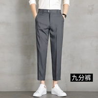 221 Deep Grey [Bingshi Dine Points]