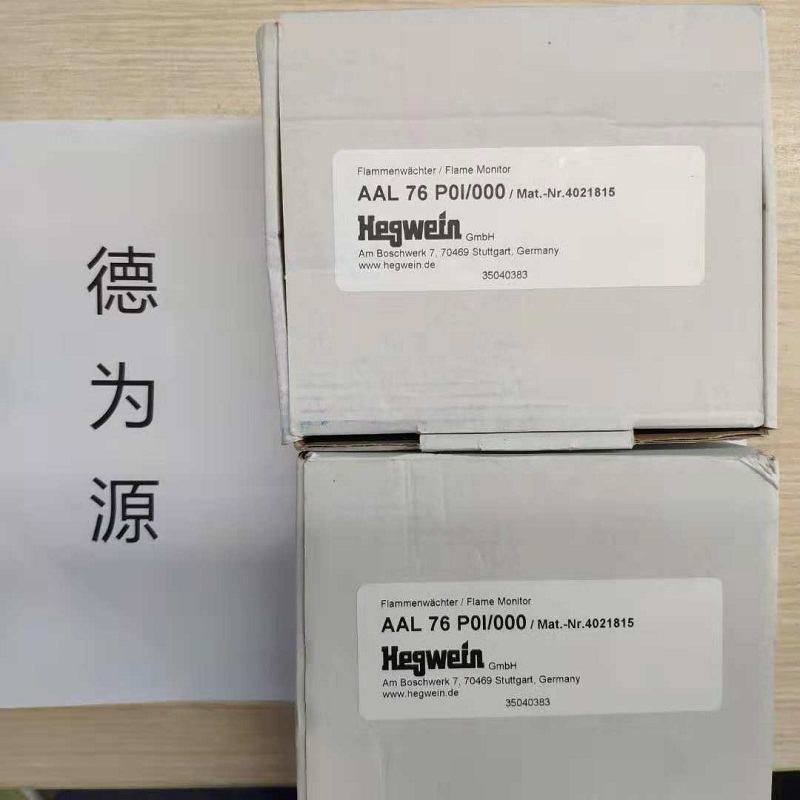 HEGWEIN 火焰检测器 AAL 76 POI/000