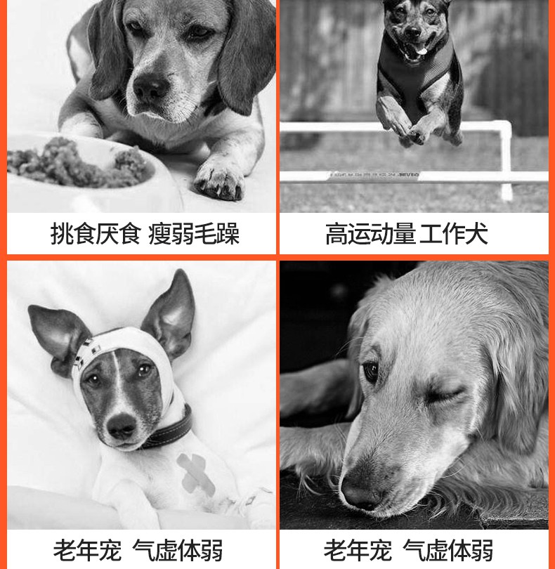 {4.7} RedDog Red Dog Kem dinh dưỡng 120g Pet Dog Teddy Golden Retriever Puppy Cat Vitamin Dinh dưỡng - Cat / Dog Health bổ sung sữa cho mèo bầu