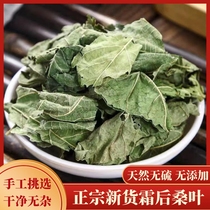 Wild mulberry leaves 500g new Chinese medicinal materials frost after frost mulberry leaves fresh dried mulberry leaves tea soaked in water ground mulberry leaf powder