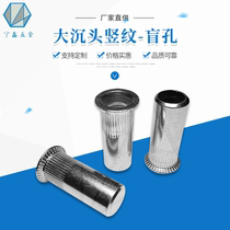 GB17880-2 new large countersunk head vertical pattern rivet nut hardware 304 stainless steel cylindrical stripe pull cap blind hole