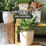 Qingye Deroma Император римский итальянский импорт старший старший ручной работы с высоким керамическим гончарным гончарным гончарным изделиями зеленое растение
