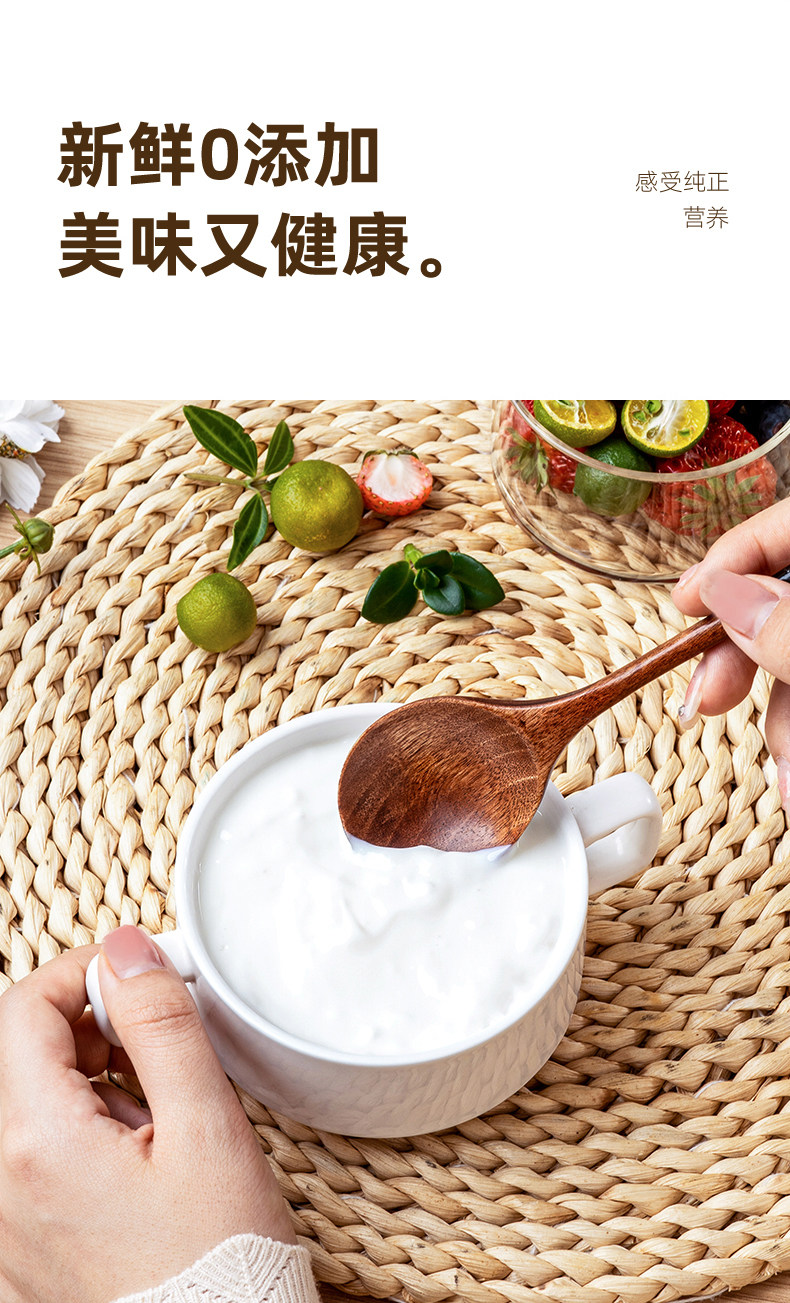 日本愛(ài)麗思家用酸奶機(jī)