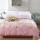 Cotton quilt cover Cotton đơn mảnh twill mùa xuân đơn đôi quilt Hàn Quốc sinh viên quilt bìa đặc biệt cung cấp