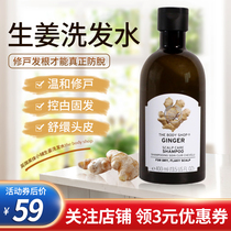 British beauty body small bunk ginger shampoo The body shop anti-remove solid hair control oil to chip 400ml
