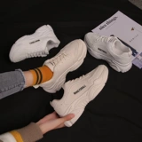 Tide, спортивная обувь, универсальная белая обувь для отдыха, 2022, осенняя, в корейском стиле, для средней школы