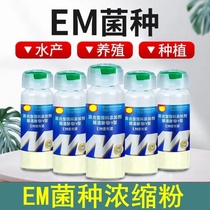 Embacteria concentrated powder lactic acid bacteria aquaculture special fish shrimp crab bottom water fertilizer water source breeding planting strain