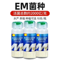 Embacteria species Aquaculture Bacillus subtilis fish and shrimp changed the bottom ammonia nitrogen water transfer PH concentrated probiotic powder