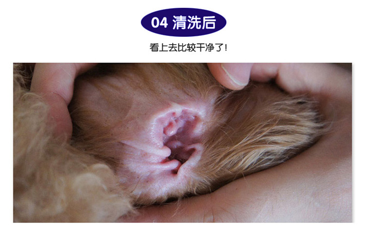 Boric acidborneol tai giọt pet mèo chó tai giọt dầu viêm tai viêm tai điếc làm sạch tai - Cat / Dog Beauty & Cleaning Supplies bàn chải chải lông chó