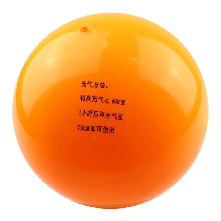 Ballon de volley - Ref 2012015 Image 4