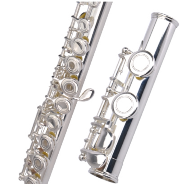 Music Master 16 17 open and closed hole flute instrument students adult children beginner grade c tune