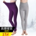 Quần mùa thu quần nữ đơn mảnh mặc eo cao ấm áp mỏng mảnh mỏng quần giữa quần legging cạp quần cỡ lớn - Quần nóng lên