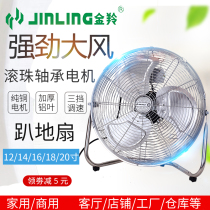Jinling Industrial Aluminum Leaf Office Silent Floor Platform Fan Powerful Household Large Air Fan Fan