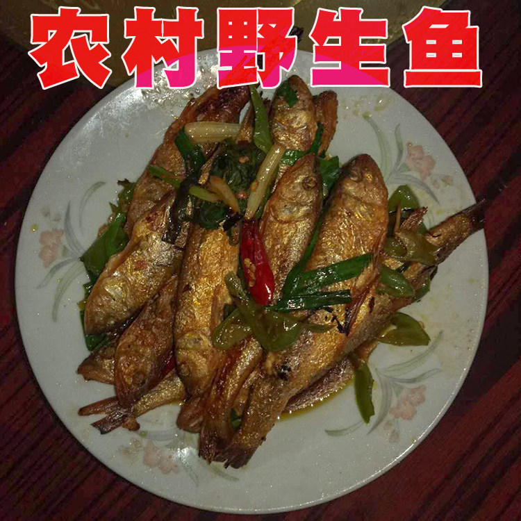 Henan Xinyang Luo Mountain Earth Special Production of Wild Little Fish Dry Dry Fish Fresh Fish Fresh Water River