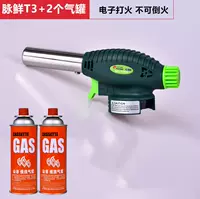 Пульс свежий T3+2 бутылка газа