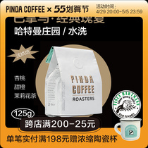 PINDA washed up Summer Panama Hartmann Estate Shallow Bake Boutique single hand sprint coffee beans 125g