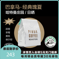 PINDA day sun exposure summer Panama Hartmann Estate geisha Shallow Baking Boutique single hand sprint coffee beans