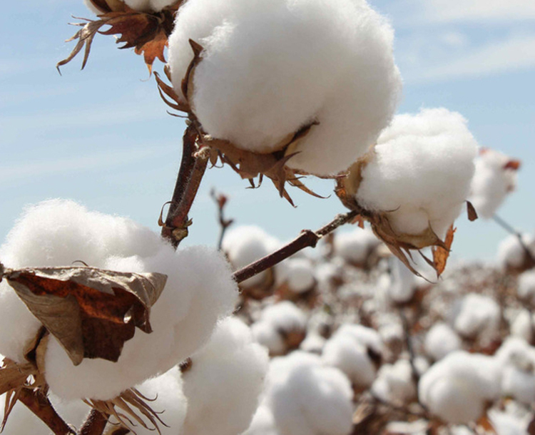 Bộ quà tặng quần áo cotton cho bé sơ sinh 0-3 tháng 6 xuân, hạ, thu, trăng rằm trọn gói trăm ngày đồ chơi trẻ sơ sinh