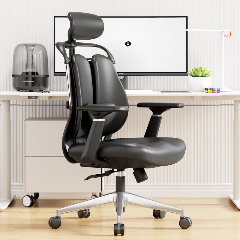 Computer Chair, Ergonomic Chair, Long-Term Sitting, Waist Protection, Home Office Chair, Double Back Chair, Gaming Chair, Comfortable Adjustable Chair
