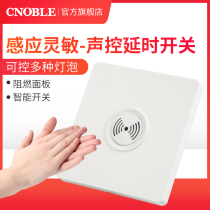 Sound and light control switch 86 type 220V intelligent delay household led energy saving lamp corridor voice control sensor switch panel