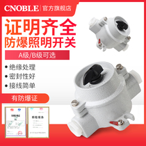 Explosion-proof lighting switch SW-10 aluminum alloy waterproof dustproof 220V 380V control one open two open explosion-proof switch
