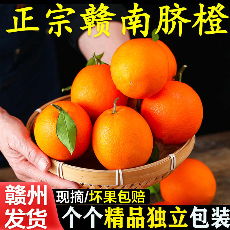 赣南脐橙营业店