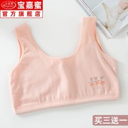 . Developmental nhỏ vest junior học sinh trung học 12-14-15-16 tuổi trung học cô gái áo ngực con lớn lau đồ lót ngực